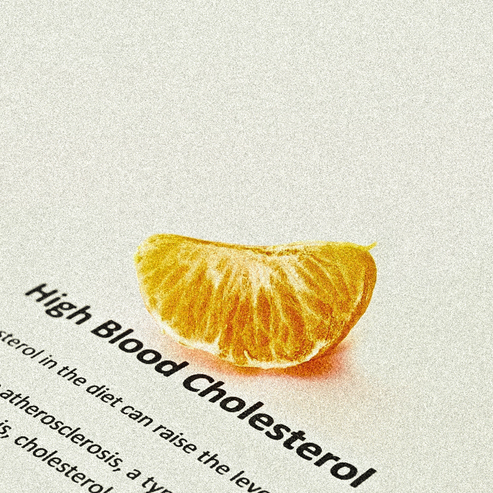 A slice of orange placed on a white page with bold text reading “High Blood Cholesterol,” symbolising healthy eating and cholesterol awareness