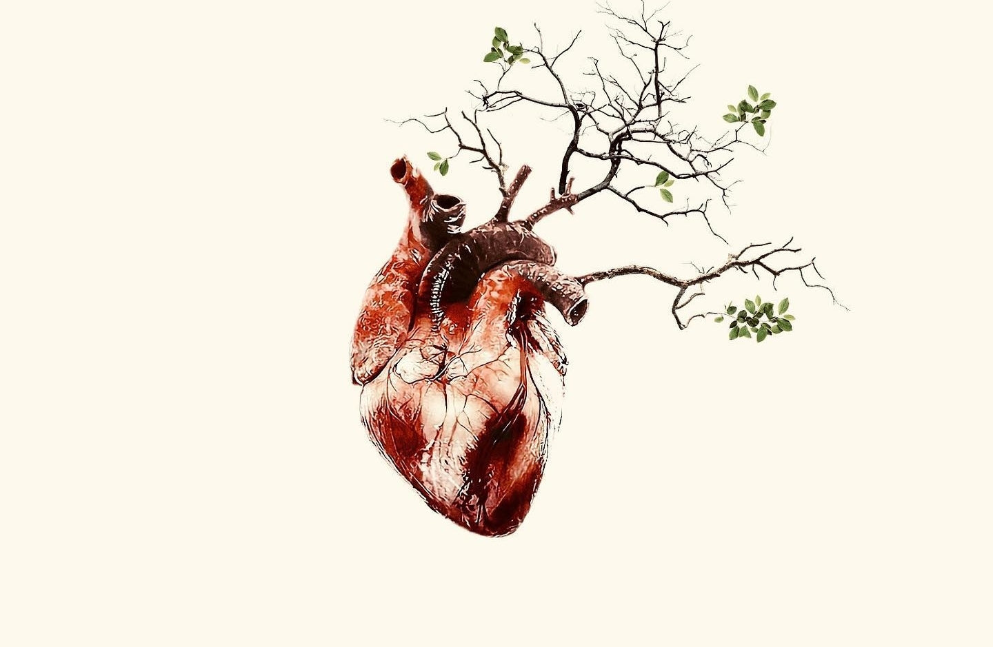 Good Cholesterol vs. Bad Cholesterol: The Ultimate Grudge Match