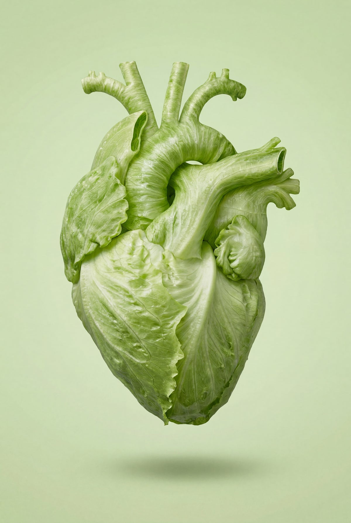 Heart Healthy Foods Shaped like hearts.jpg